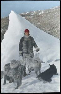 Image of Ekblaw of Crocker Land Expedition with dogs, by grounded iceberg